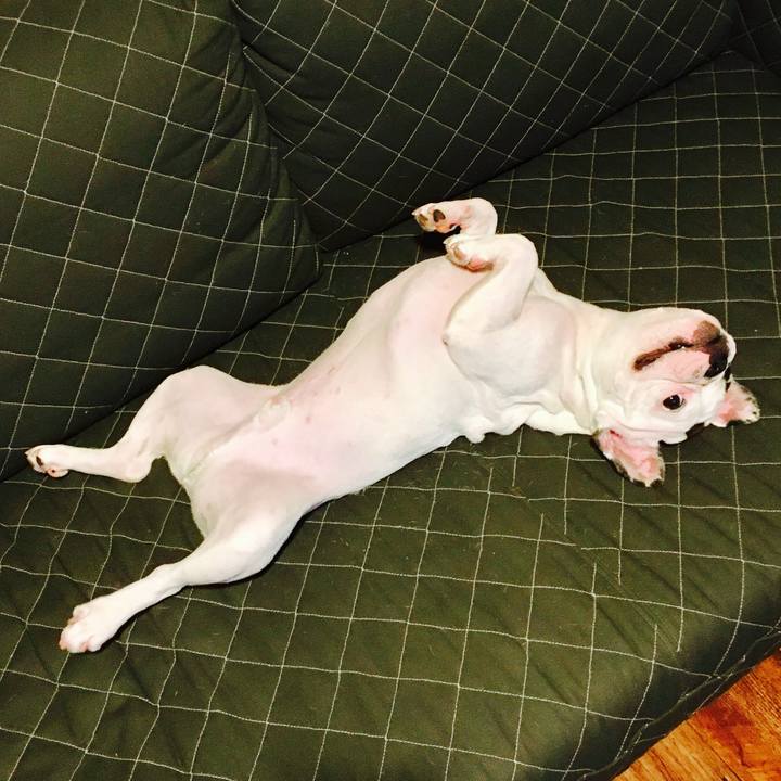 0d5f5a9e 786d 4969 892c 4cc5066a6309