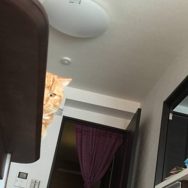 0d5f5ee4 1763 4422 8bd2 c9730577ff56