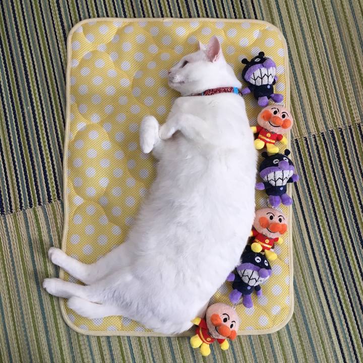 0d5f60bc 439d 4e65 9af8 419f0ad80121