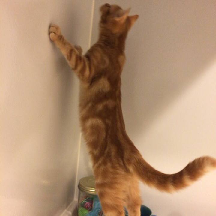 0d601034 dbf0 49ca bfc7 dc89dc549717