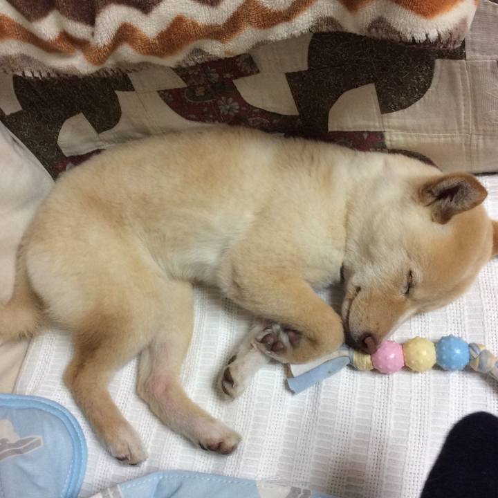 0d601965 4fd5 4f80 b7ac 8707c180cf33