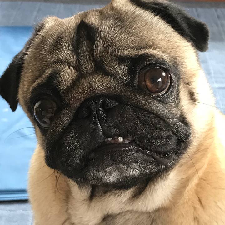 0d614d08 32e3 439f afb9 909393b2e9bc