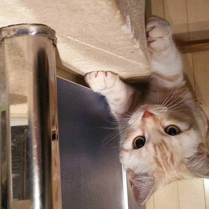 0d630387 02a2 45b4 95c2 4e1e01440e19