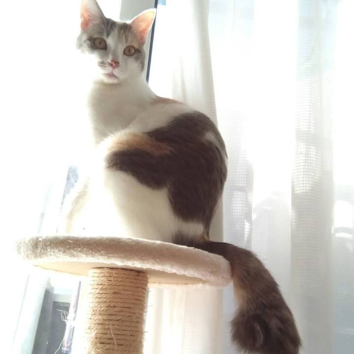 0d630434 952a 4890 beeb d61240289f7b