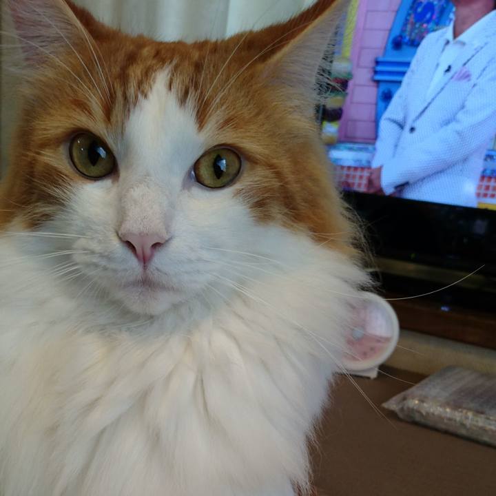 0d6346fa ccf2 4c66 a303 ec38f6e51ff3