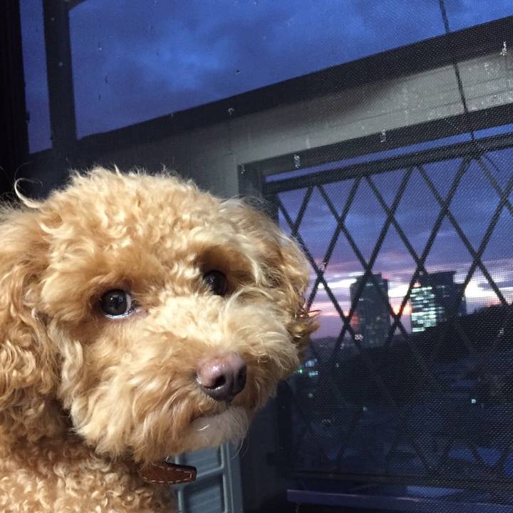 0d63d10e 3ef5 4d3e 830a 2c40c53359d6