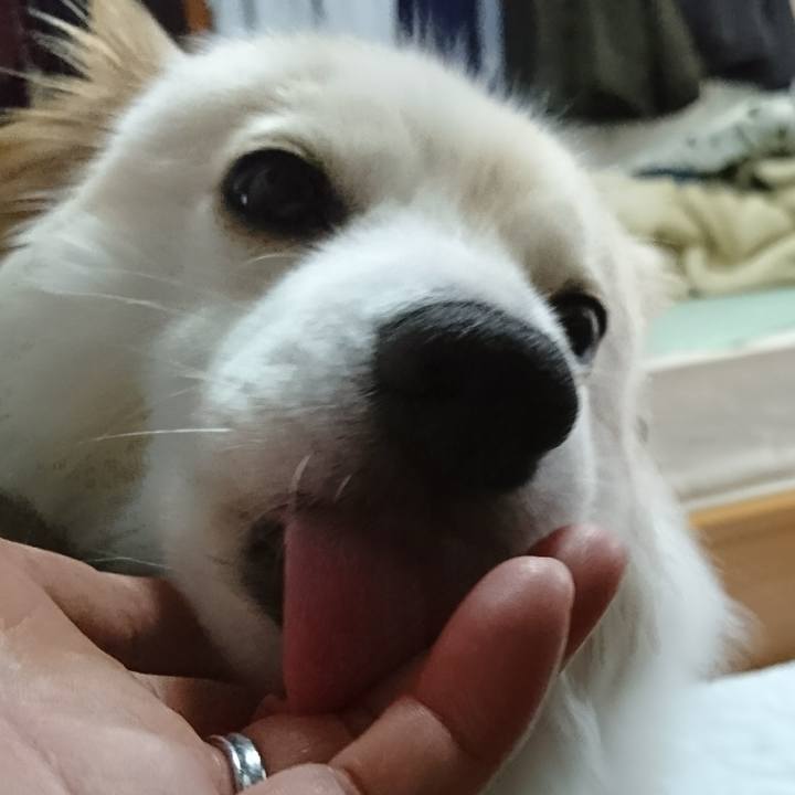 0d6447fe 788e 40d7 9a43 a305bfa26650