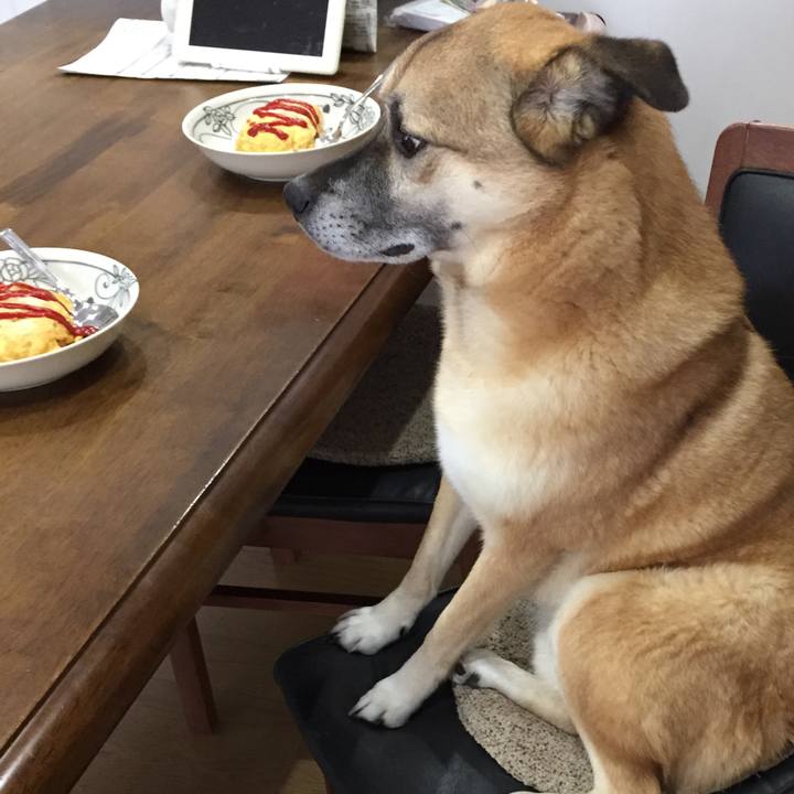 0d654929 f9a7 4e45 be22 e9bb636504e4