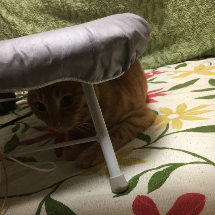 0d65631b b1d6 4b8c ad9e 1694c3aa66ce