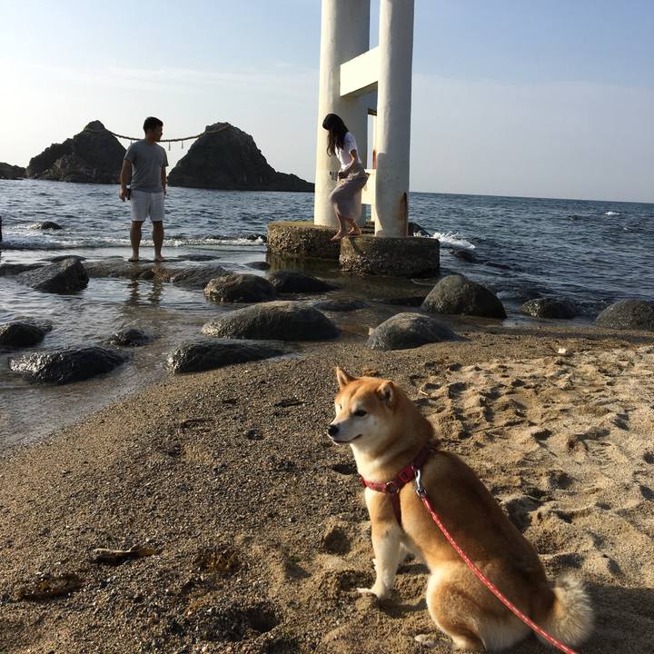 0d6595c5 2ff2 4204 97e9 1876b44741bf