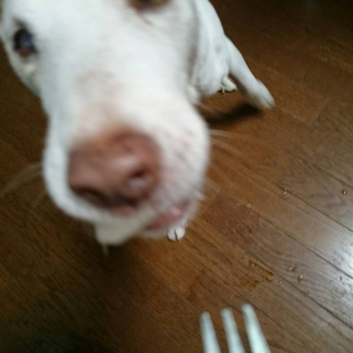 0d66c0c6 7c81 4840 b5e6 91650b02ab69