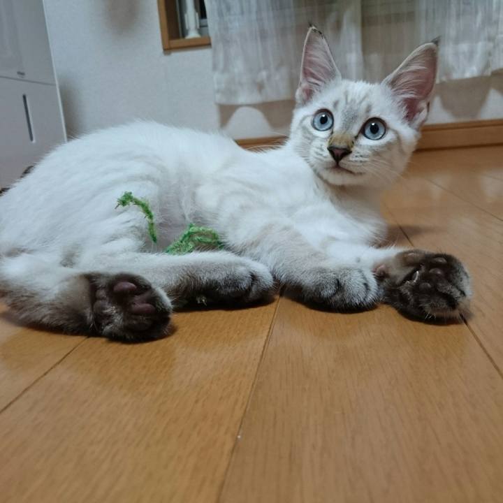 0d66ca0e 393d 45bb 9dc4 0ce66da86436