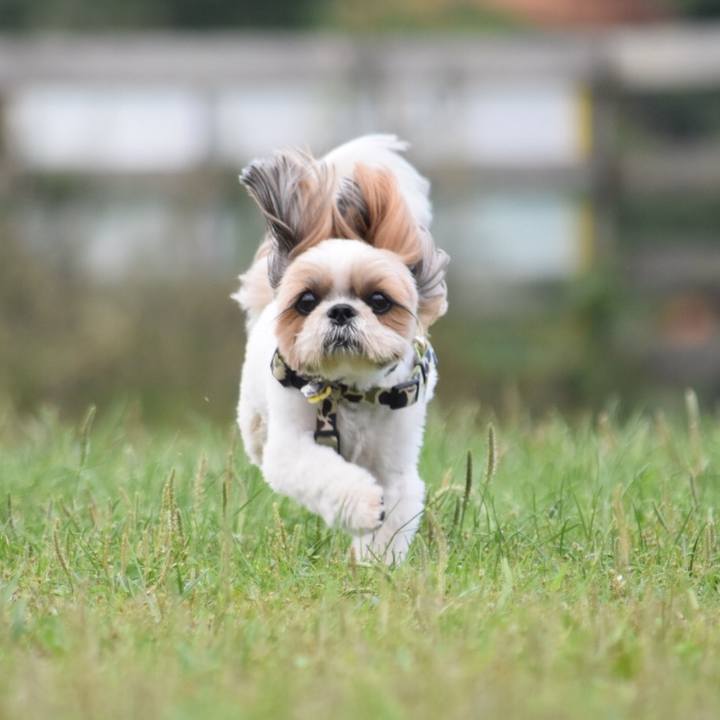 0d66cd08 d3ba 4be0 b412 cbf9bc83199d