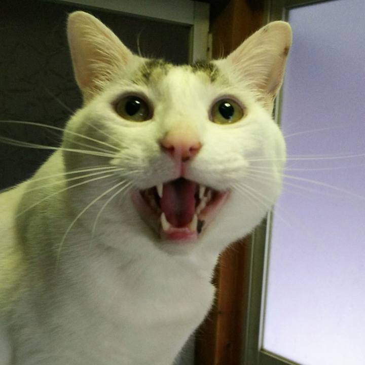 0d66d4aa 748c 47f7 a3a3 f7291b52afc4