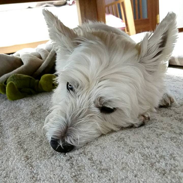 0d674988 e013 4c23 91dc df93a0192c5e