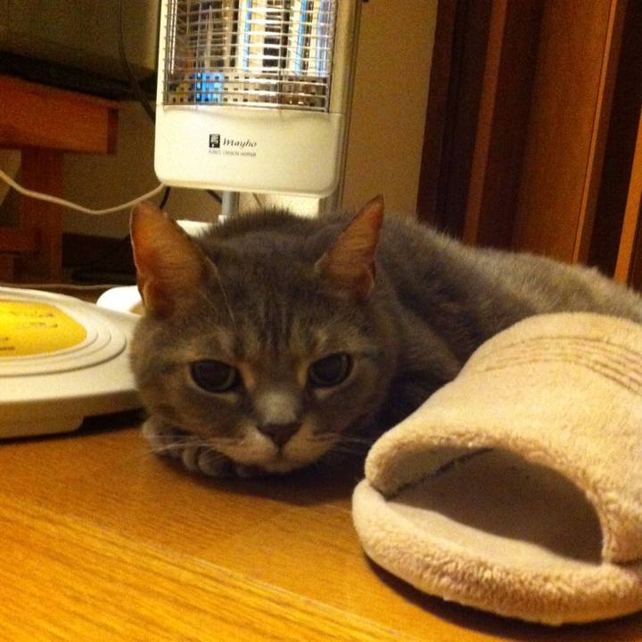 0d6834e3 2e42 4fbd b6ed 759be83099cb