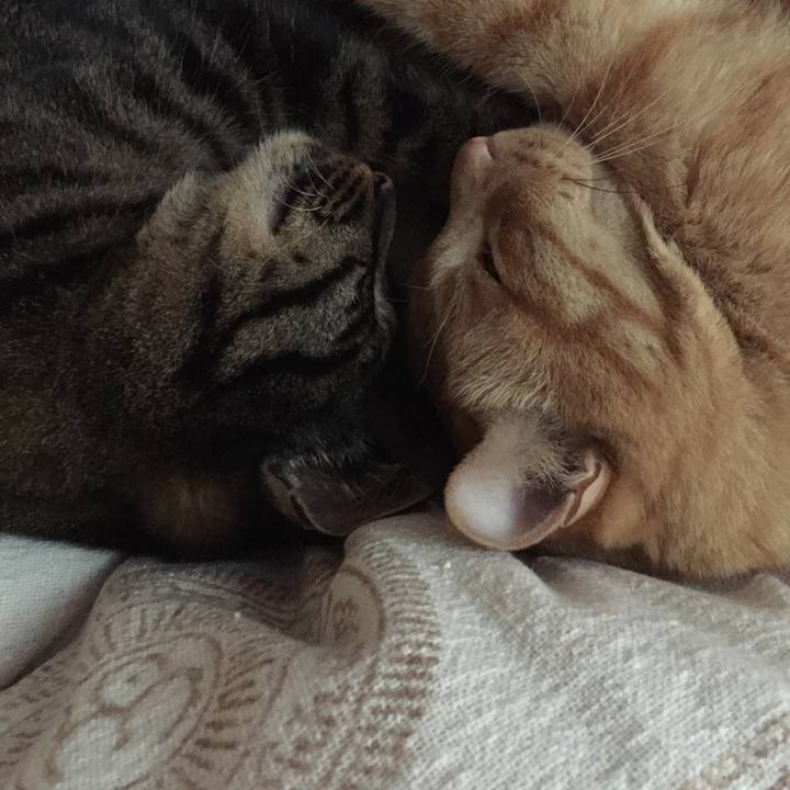 0d69035a 9f56 4b9e 89de d095de2f1cf5