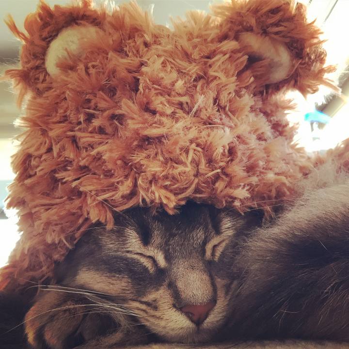 0d6a24b1 e202 492e bd85 773b8499ab01