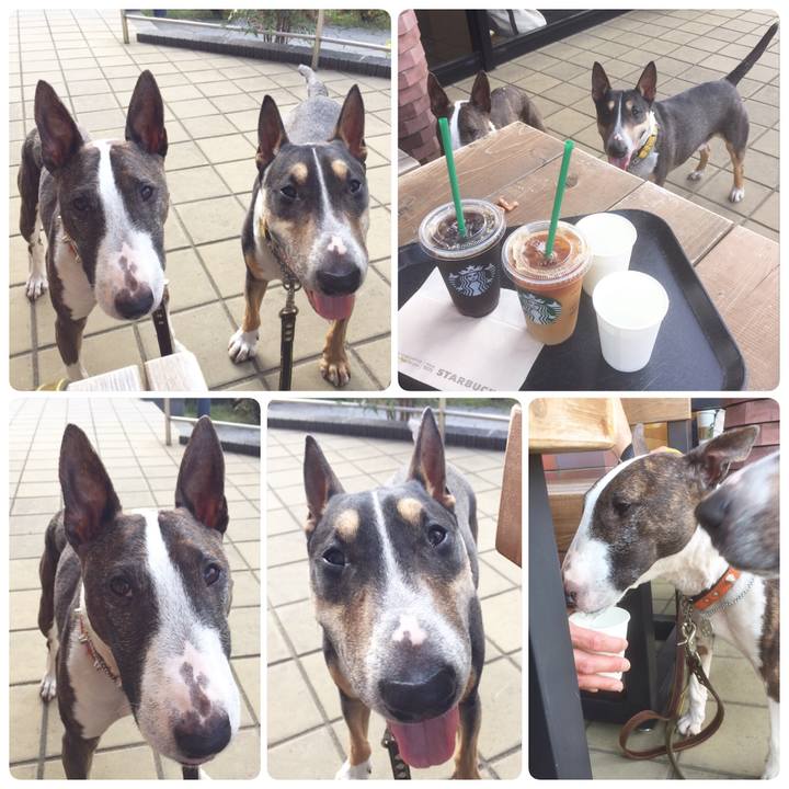 0d6a884e 928b 454c be52 d3bb62743c03