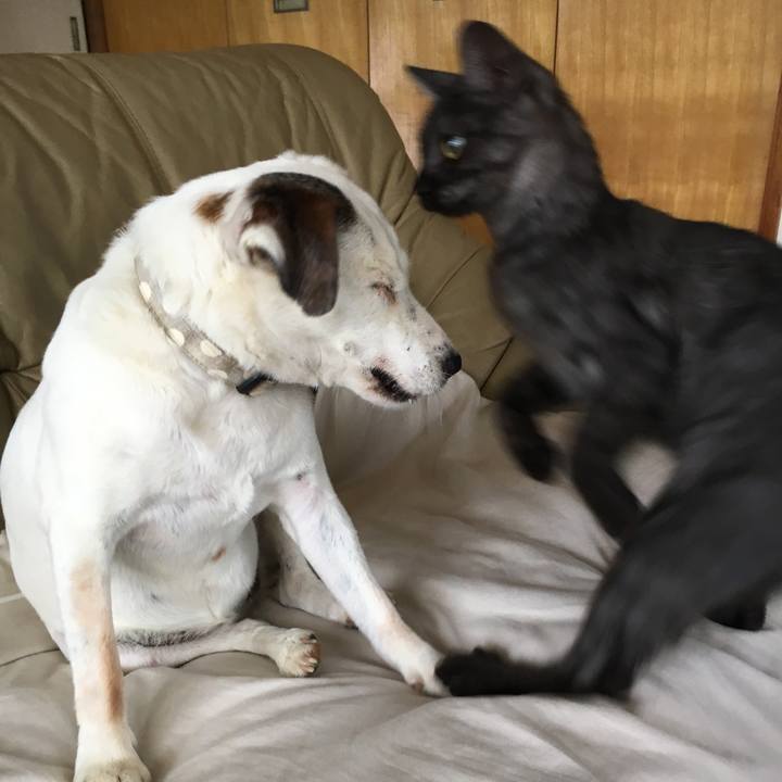 0d6ae210 431c 4239 95a7 50687cb183ac