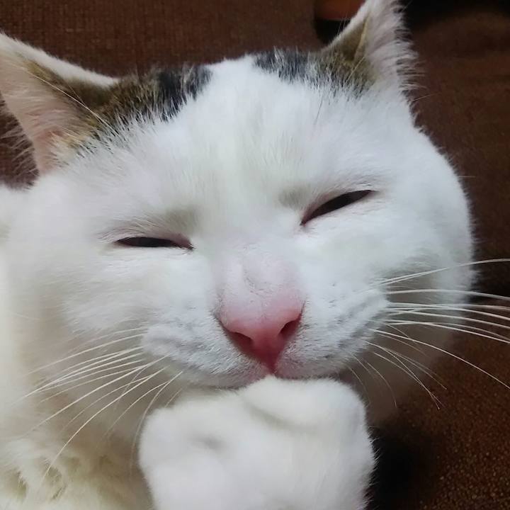 0d6b0e5e a51e 4111 8127 e7a18ab3c494