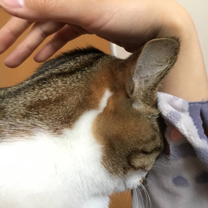 0d6b17e4 8da8 42df a6c8 29cb22dc6259