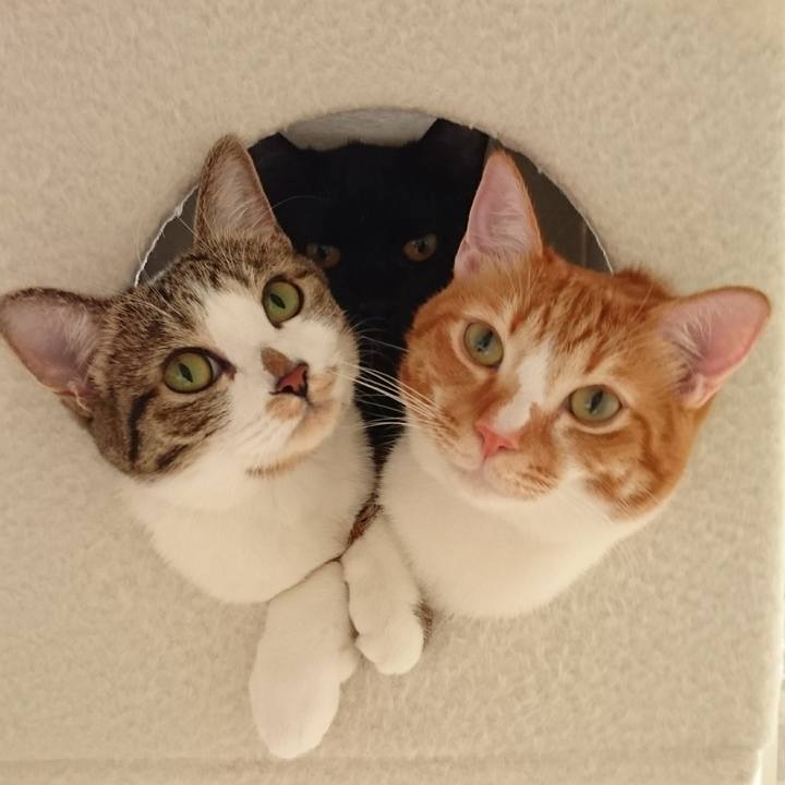 0d6b29ea 2a1b 49bf 8c33 1632cb6e4d99