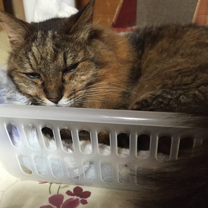 0d6b4e90 a74d 4bf0 9420 10c0f78af12d