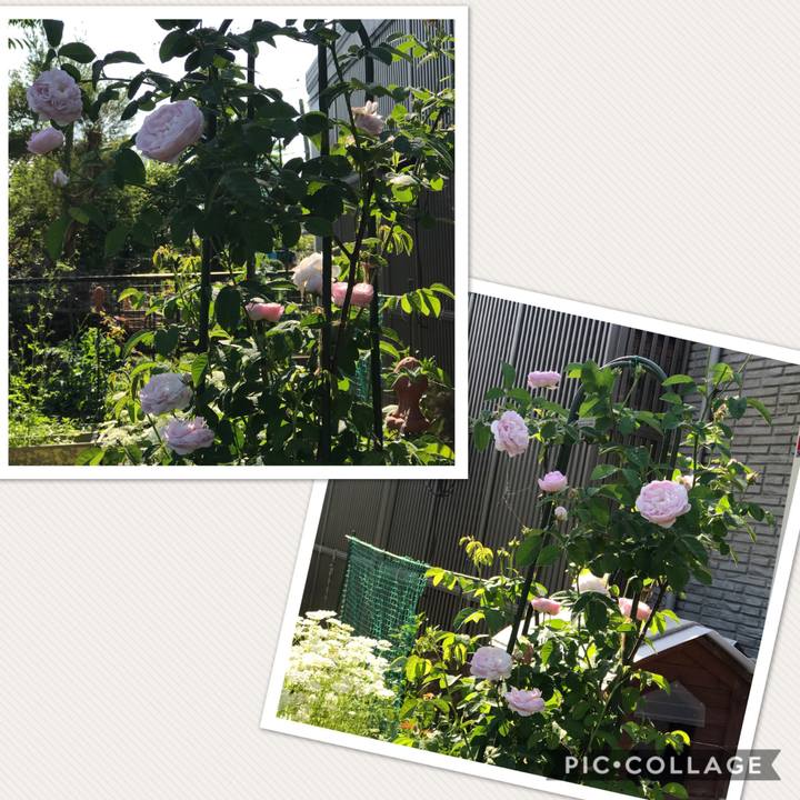 0d6c20ca 1e92 4815 b6dd dbd589c87d8a