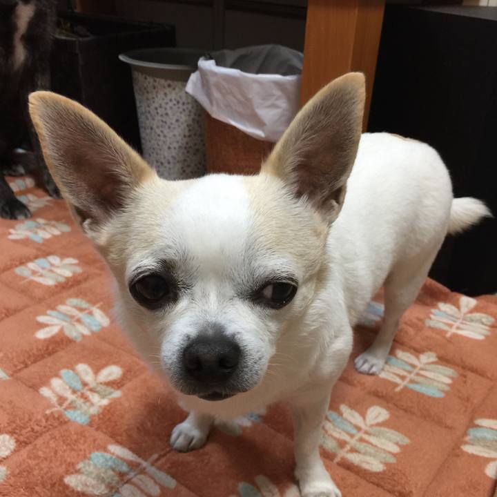 0d6c8587 9d4a 4450 89d6 80969cd8cf7e