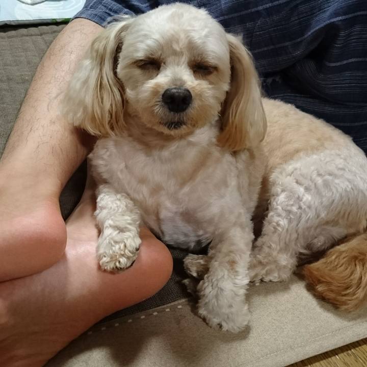 0d6d09e2 a78d 4a21 a24e bc430bef0648