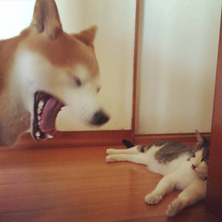 0d6d1816 15b8 4fa2 97ad 4e0a8c8a6d10