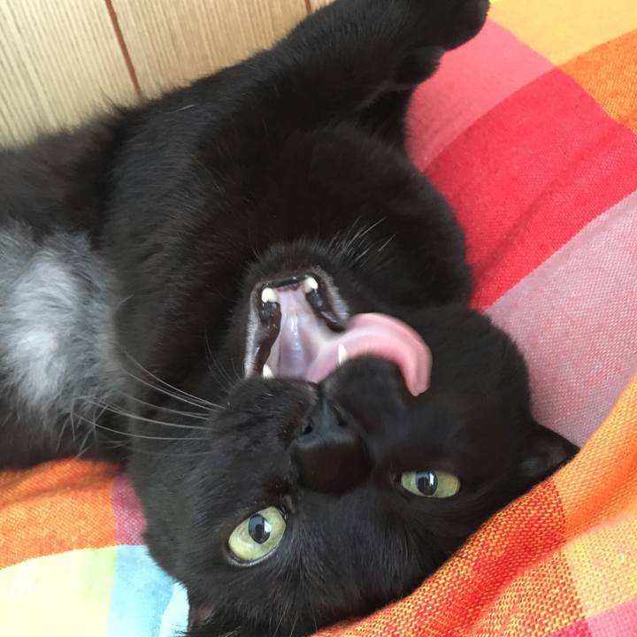 0d6d2237 4870 48a9 8415 9336421f431c