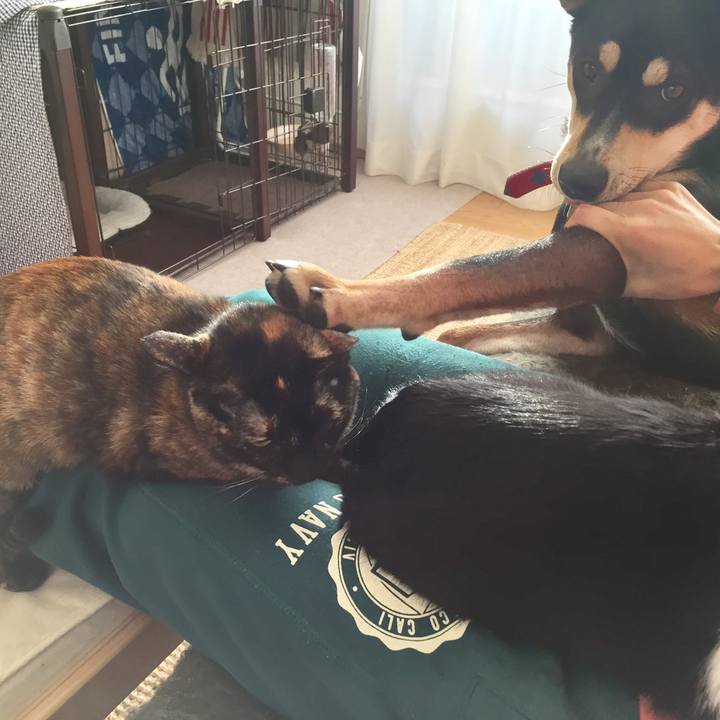 0d6d2412 47c1 457e 948a 1c4ad0c6c177