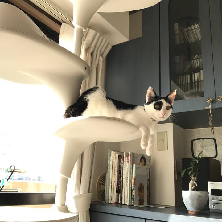 0d6d5299 6253 4f69 967d 1c1073b1bc41