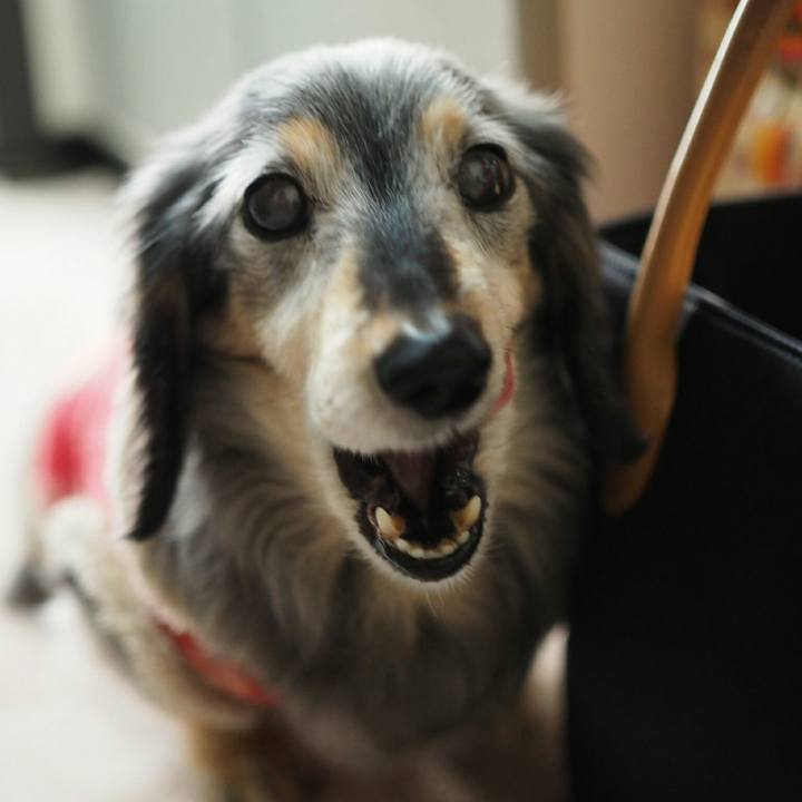 0d6da2d0 fb21 4afc b200 193f3516d2c4