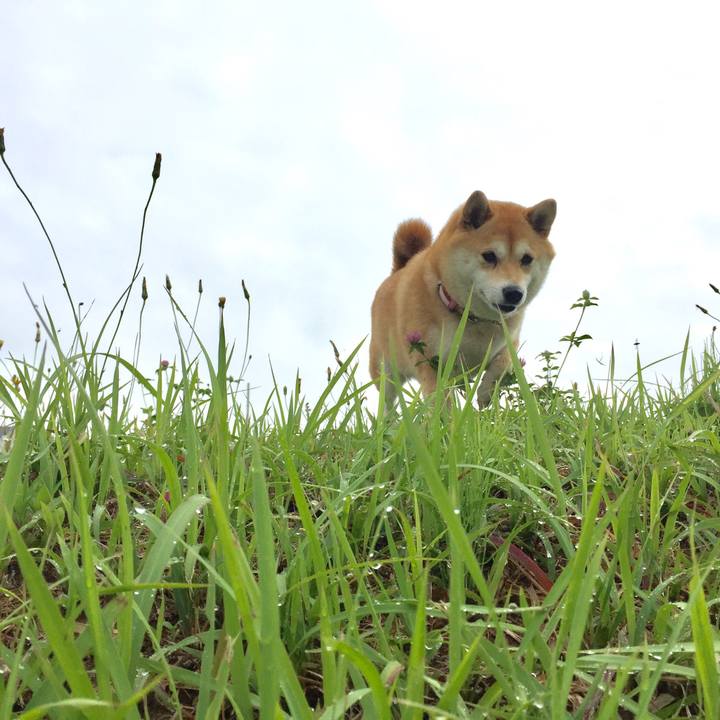 0d6e435d 84d2 4965 a221 56a007004f7d