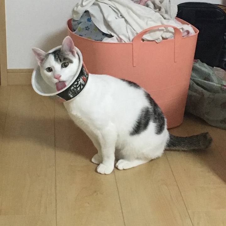 0d6f0685 1eb8 4543 92f7 9fb3ae9b0996