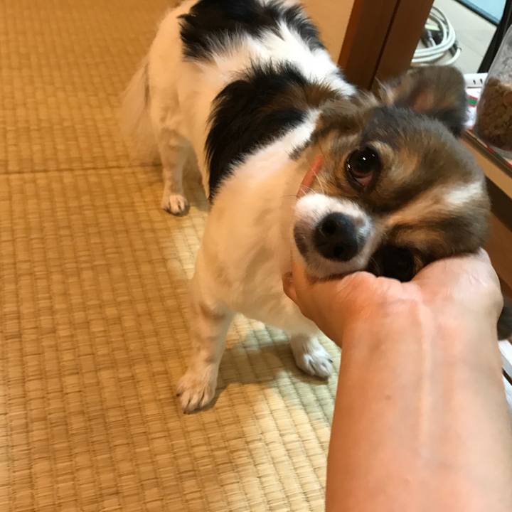 0d6fb86d e294 46fb bd3b 20ddc1bb9ca3