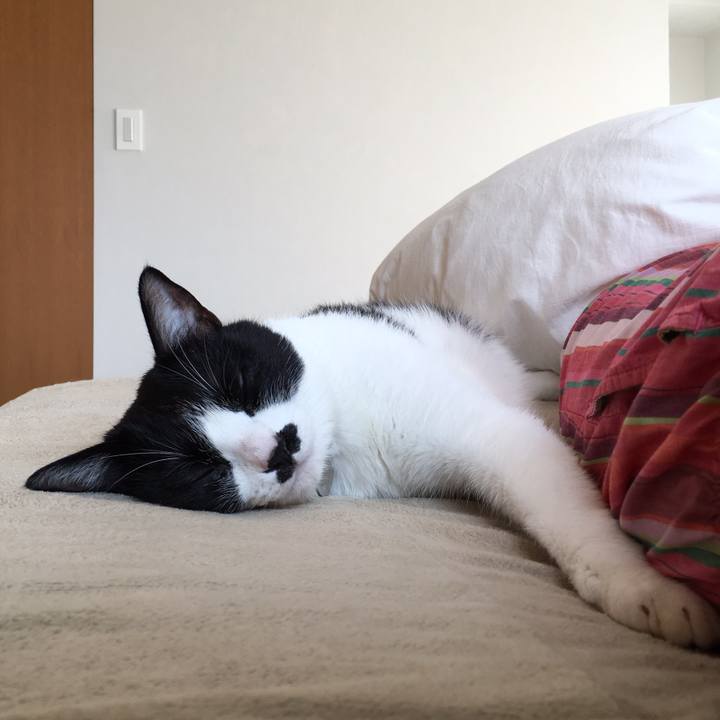 0d707498 4a2f 4c20 bab9 04ca435b38c8