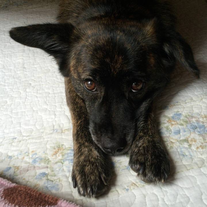 0d7086db 6e74 4db2 95c4 6c59ab3451fd