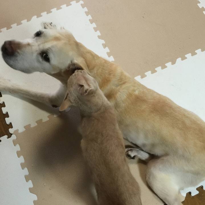 0d717494 13ba 4830 a908 afa64850c458