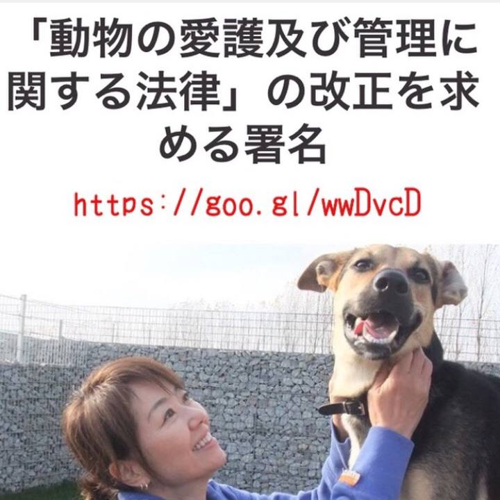 0d72bd3e df03 4066 8ca7 ac1a58225d3d