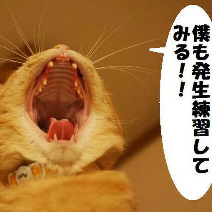 0d7354dc 72f6 4d20 9ef0 633d375981da