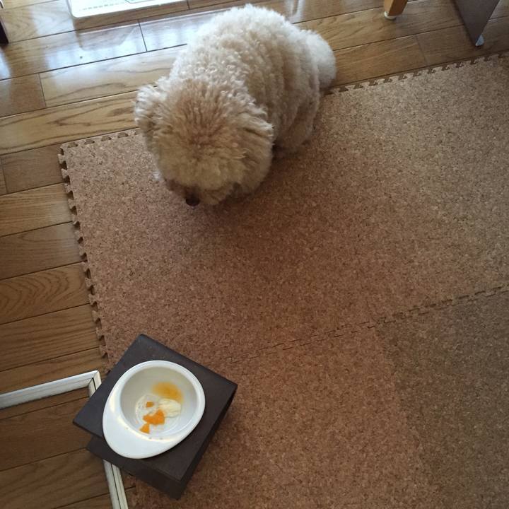 0d735b07 950b 46e0 a4ee a97a0e3130b5