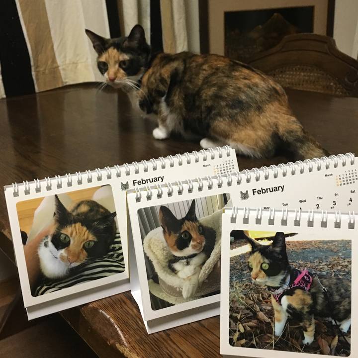 0d73a5d8 3116 4a8b b69e 8e4fbe50b375