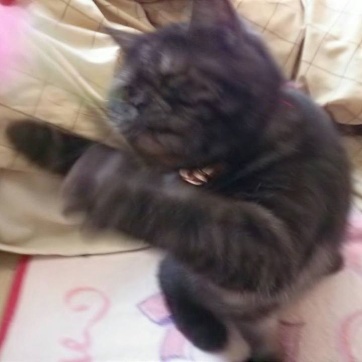 0d73b2e9 6ef1 409c 8955 9632446a0e8e