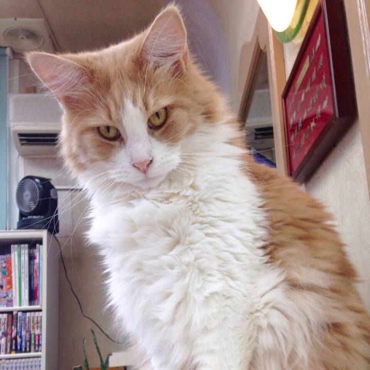 0d73ea37 f704 4ba6 9661 d4e83308771c