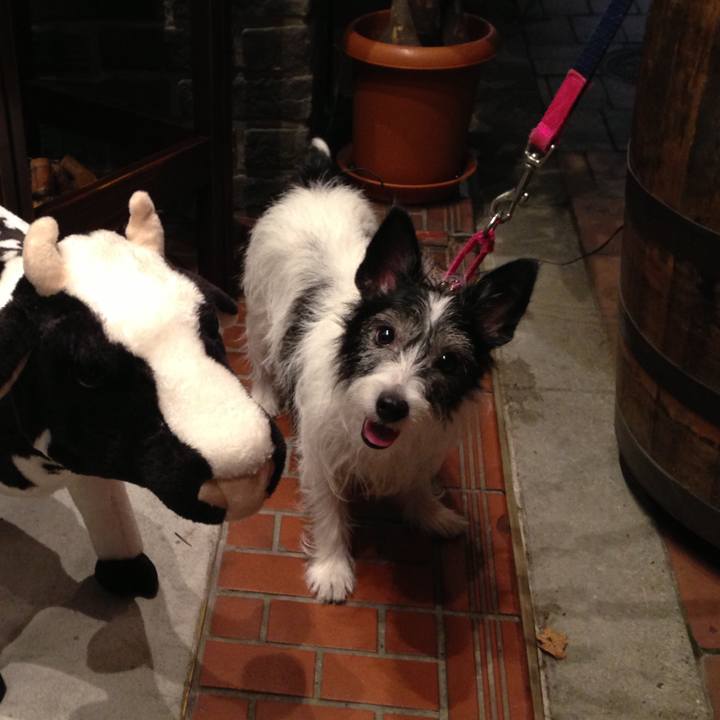 0d74cf58 b38a 4ce1 bfa6 df42755ec01a