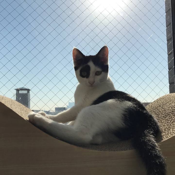 0d76b696 0cc6 4867 9173 a46c84d542ef